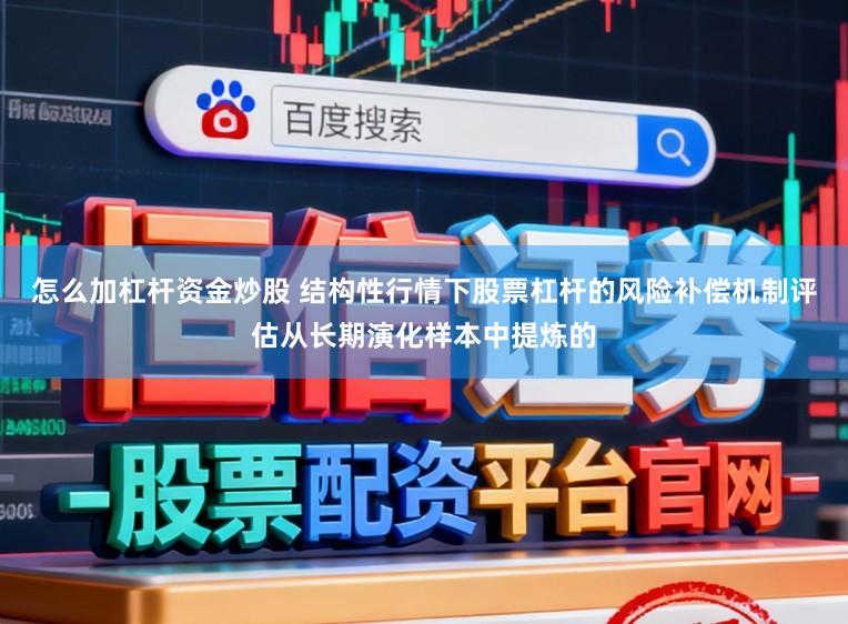 怎么加杠杆资金炒股 结构性行情下股票杠杆的风险补偿机制评估从长期演化样本中提炼的